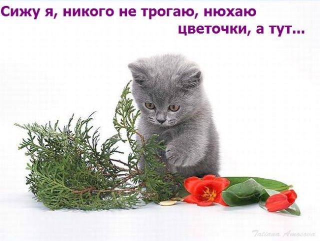 38803467_870.jpg