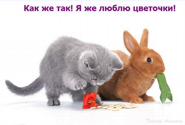 38803623_873.jpg
