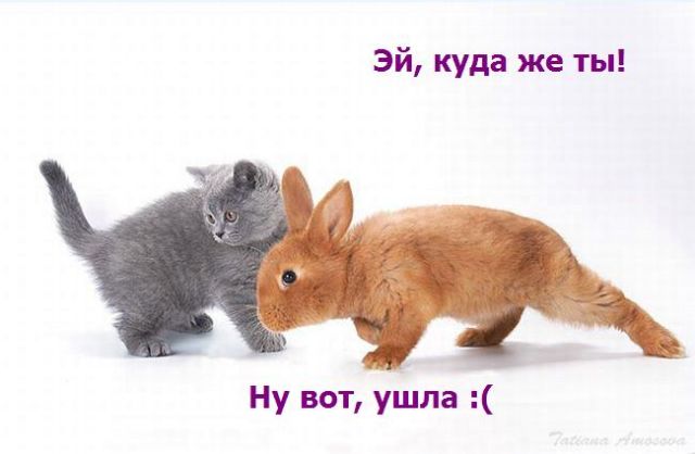 38803751_879.jpg