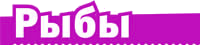 12.png