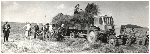 1978г. колхоз имени А.Г. Николаева. Мариинско Посадский район 1