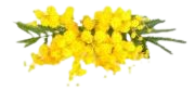 20230301jf8DRQPfJuBiCA3d_AYmvA_large-removebg-preview.png